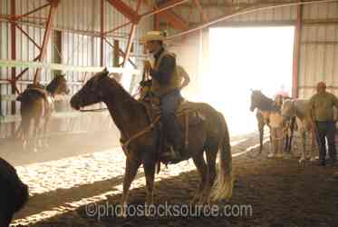 Cowboys Horses gallery