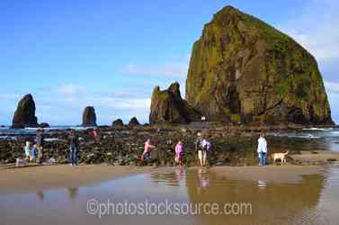 Oregon Rocks & Seastacks gallery