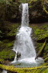 Willamette River Waterfalls gallery