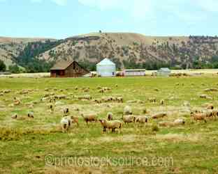 Oregon Farms & Ranches gallery