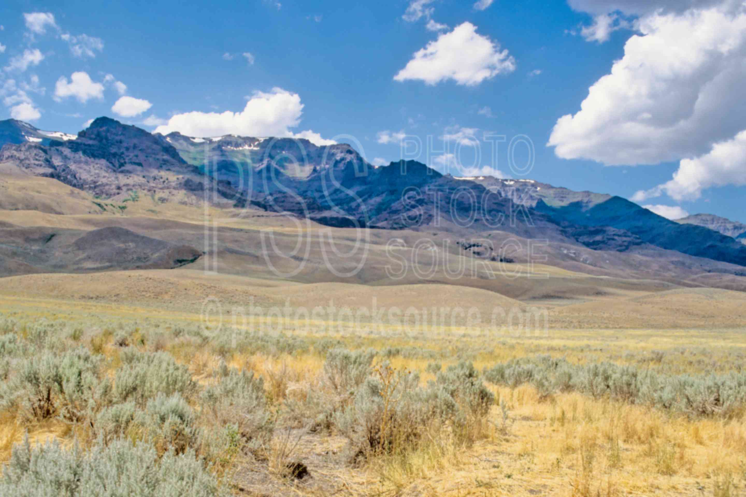 Steens Mountain Gallery