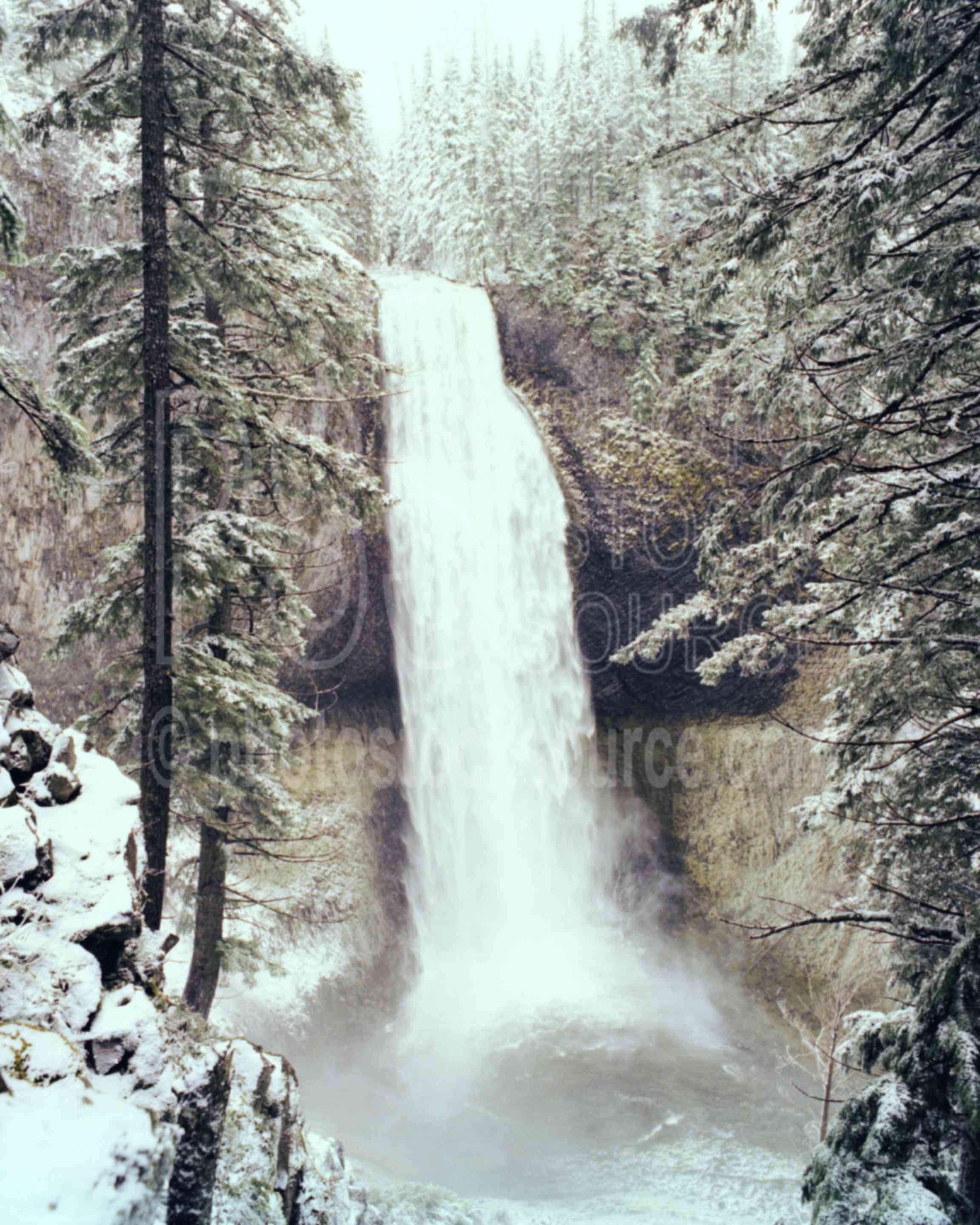 Salt Creek Falls,snow,water,winter,season,usas,nature,waterfalls